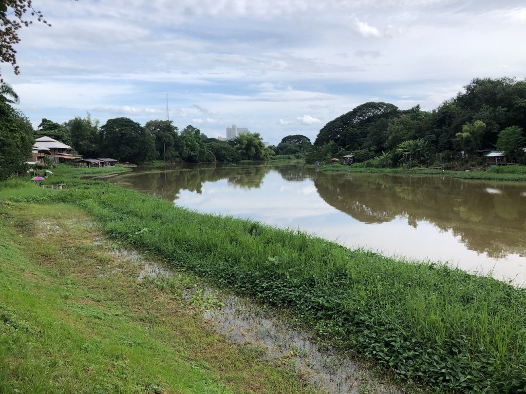 A river surrounded by lush, green vegetation on a bright, but overcast day. 